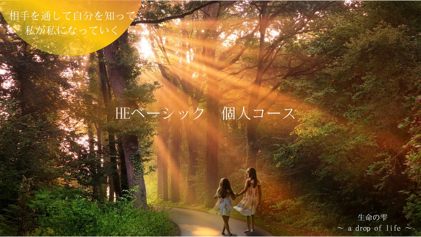 HEベーシック 個人コース